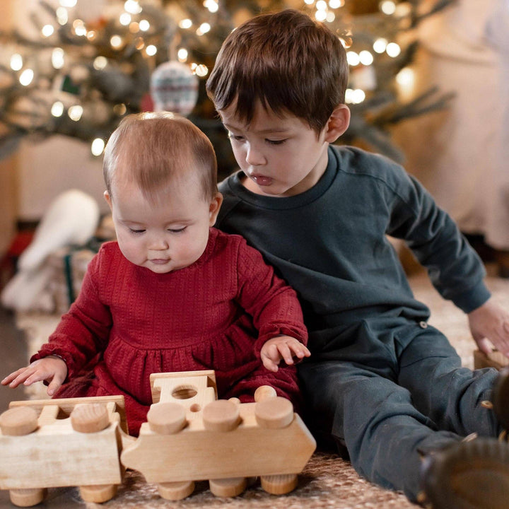 Burt's Bees Baby - Dotted Rib Organic Cotton Dress - Brick Red