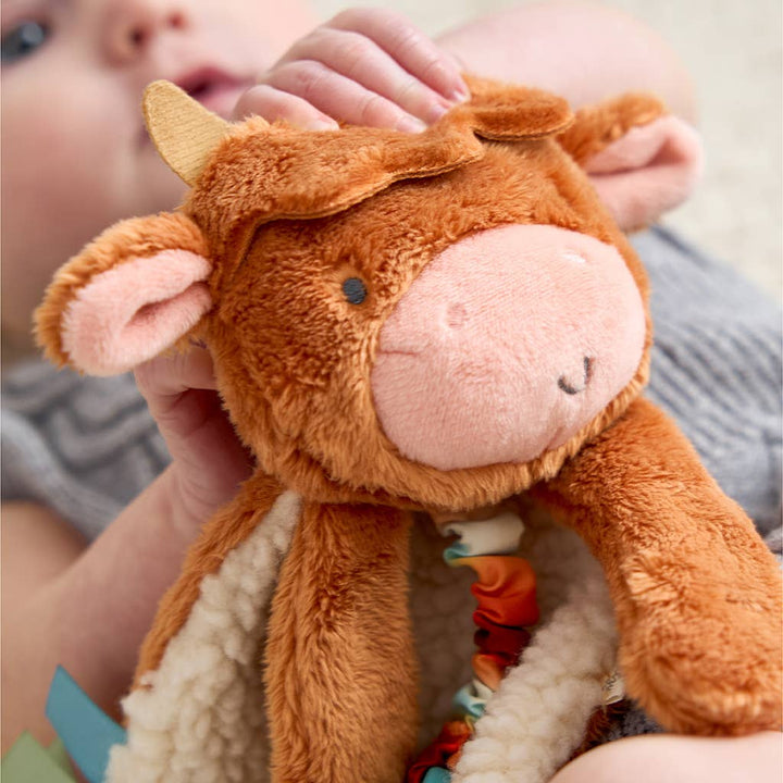 Itzy Ritzy - Highland Cow Itzy Friends Lovey™ Plush