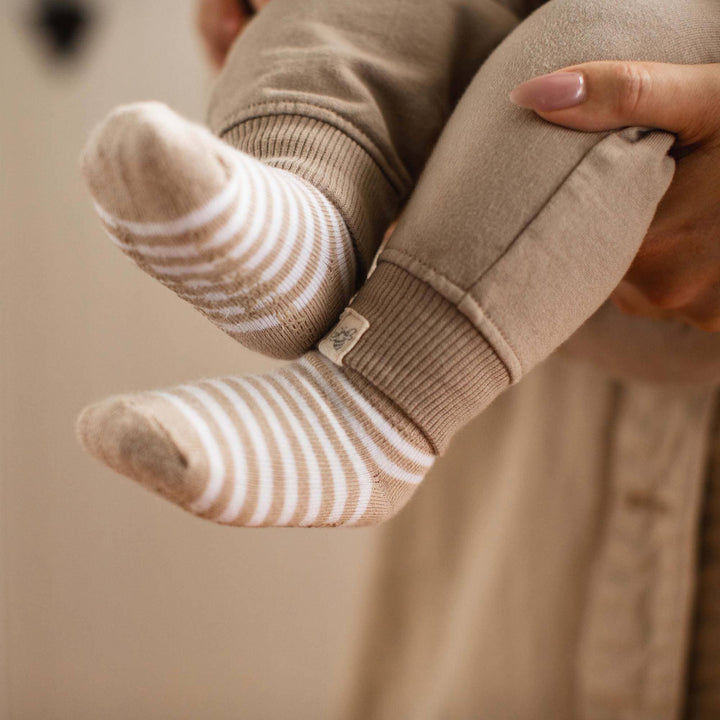 Burt's Bees Baby - Happy Harvest Infant Sweatshirt Set