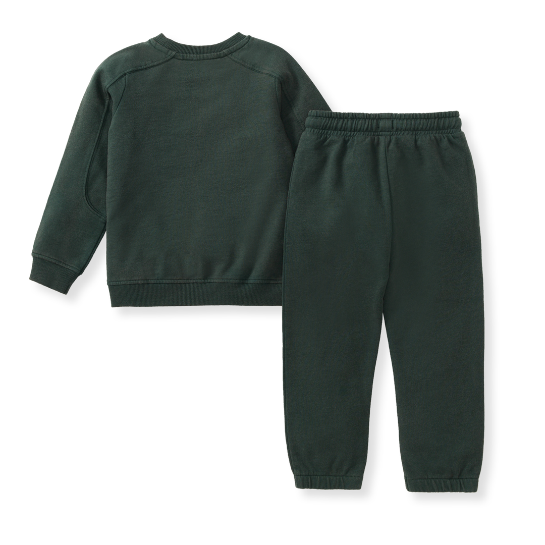 Burt's Bees Baby - Acid Wash Sweatshirt & Pants Set - Zucchini Green