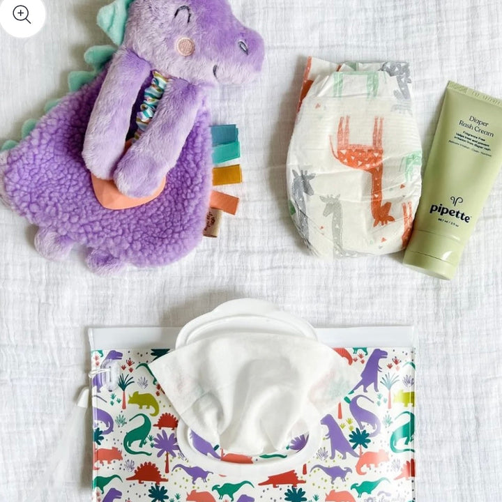 Itzy Ritzy Take & Travel™ Pouch Reusable Wipes Cases: Darling Dinos